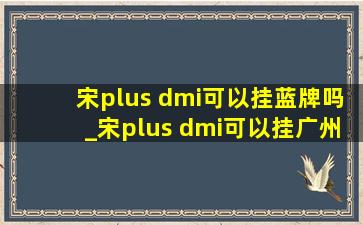 宋plus dmi可以挂蓝牌吗_宋plus dmi可以挂广州蓝牌吗